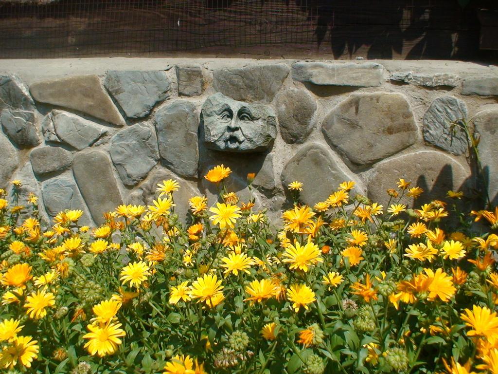 Gostynniy Dvir Raytshtoky Hotel Vorohta Exterior foto